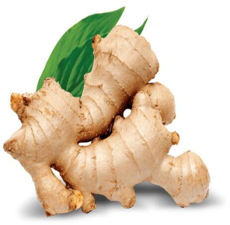 Ginger, Country of Origin :India