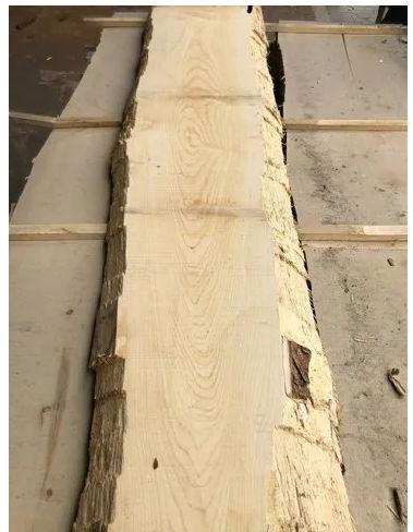 Unedged White Maple Wood, Length : 2.2m To 3.5m