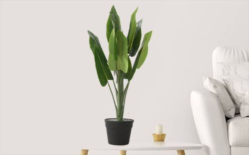 Artificial Elephant Ear Plant With Plastic Pot