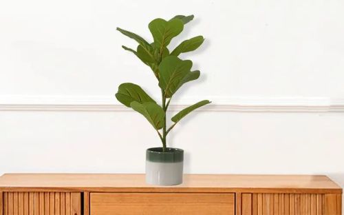 Artificial Fiddle Leaves Plant With Ceramic Pot