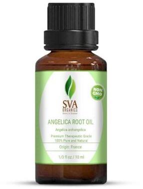 Angelica Root Essential Oil