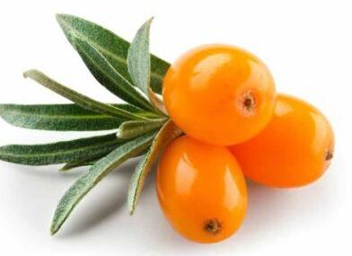 Sea Buckthorn Berry Oil
