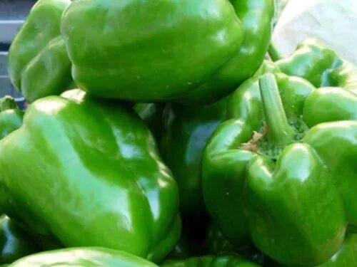 Green Capsicum, For Food