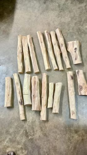 White Sandalwood Logs, Color : Golden, Speciality : Oil Forcosmotic