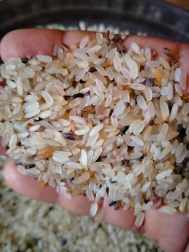 Hard Natural Rejected Rice, Packaging Type : Plastic Sack Bags