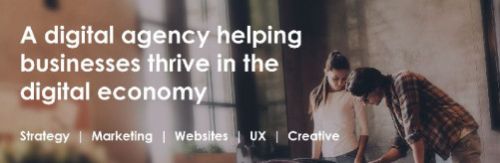 Website development service