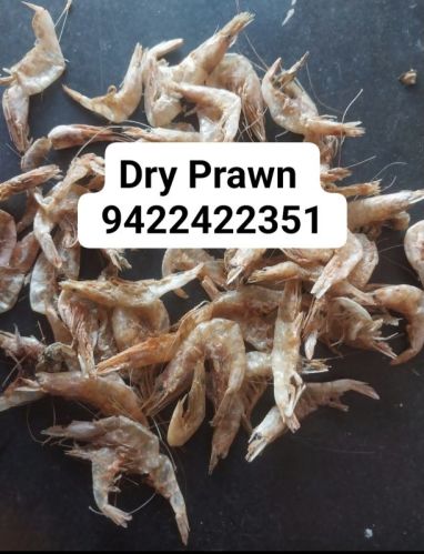 Dried Prawns, For Cooking, Food, Human Consumption, Packaging Type : Box, Can (Tinned)