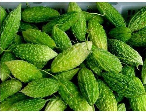 Green Fresh Bitter Gourd, For Cooking, Packaging Type : Carton