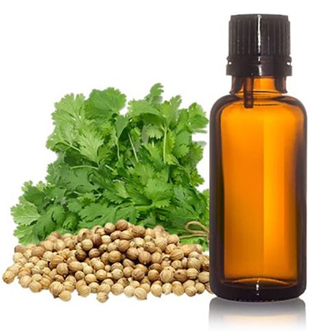 Liquid Coriander Oil, For Medicinal Purpose, Purity : 100%