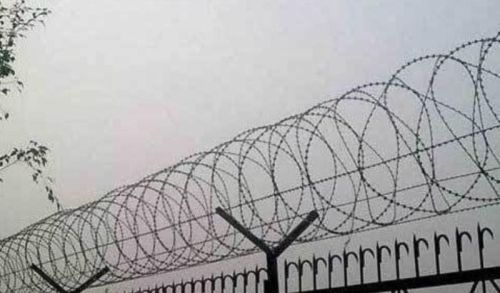 Iron Barbed Wire Fencing, Feature : Easy To Fit, Corrosion Resistance, High Performance