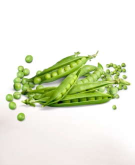 Green Whole Fresh Peas, For Cooking, Shelf Life : 10 Days