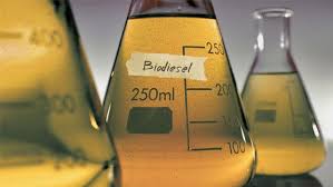 Yellow Biodiesel B100 Methyl Easter