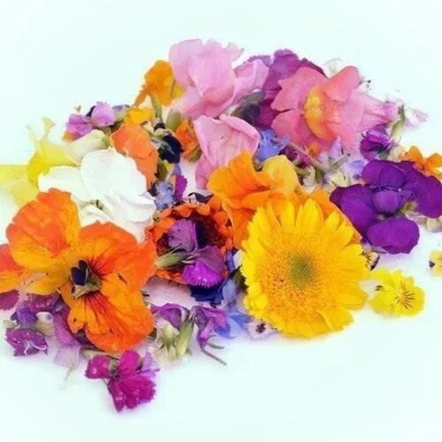 Edible Flowers