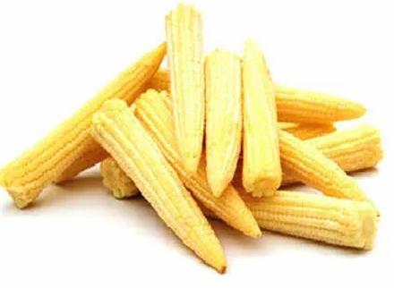 Fresh Baby Corn, Packaging Type : Net Bag