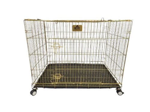 24 Inch Golden Single Door Dog Cage