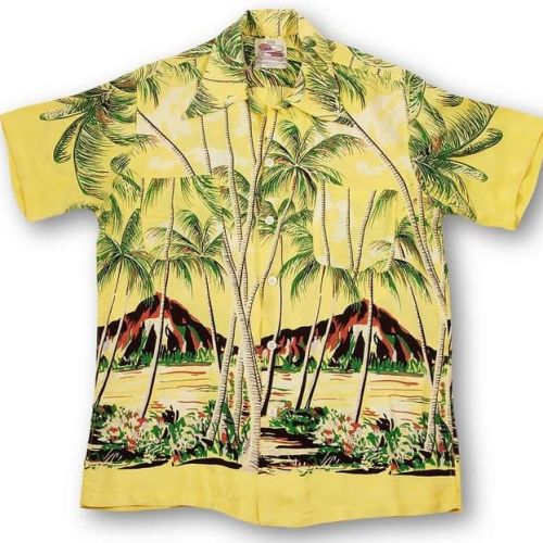 Men Hawaiian Beach Half Sleeve Printed Shirts