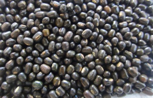 Black Matpe Beans/ Urad Beans For Cooking