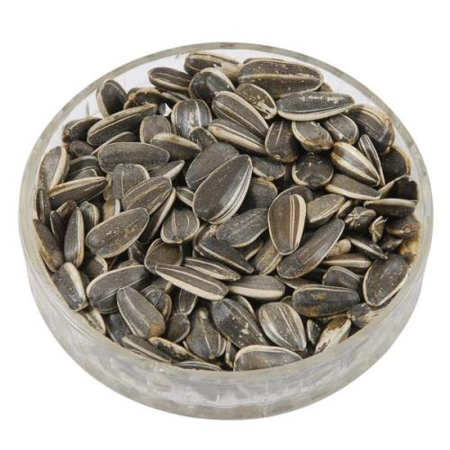 Black Sunflower Seeds For Agriculture