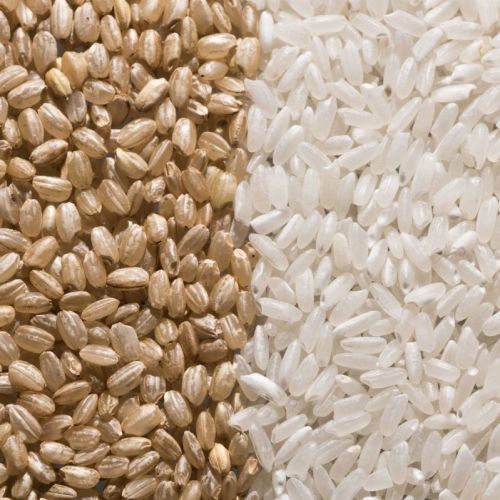 Hard Common Brown Rice For Cooking, Food, Human Consumption
