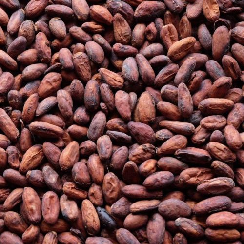 Cocoa Beans For Cosmetics, Bakery Products