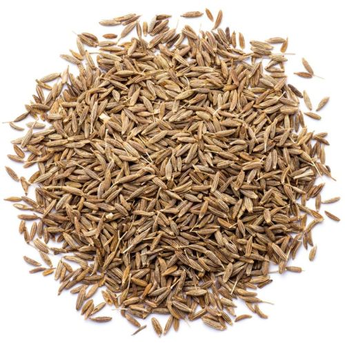 Cumin Seeds / Black Cumin Seeds, Certification : ISO
