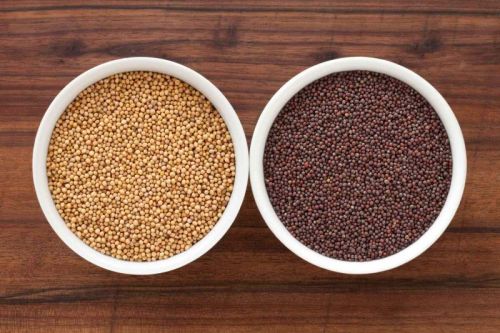 Mustard Seeds For Cosmetics, Food Medicine, Spices, Cooking
