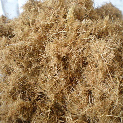 Palm Fiber For Biomass Boilers