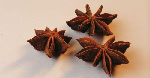 Star Anise, Packaging Type : Bag, Box, Carton