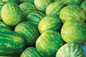 Natural Watermelon For Cooking, Food Medicine, Human Consumption