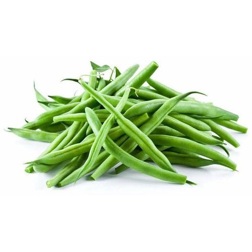 Green Organic Fresh Beans, For Cooking, Packaging Type : Plastic Bag