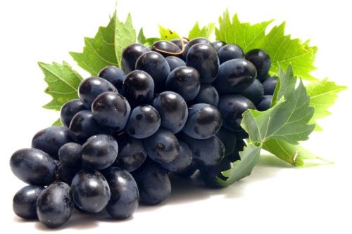 Fresh Black Grapes, Taste : Sweet