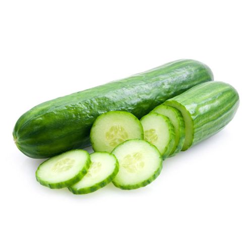 Fresh Cucumber, Packaging Type : Gunny Bag