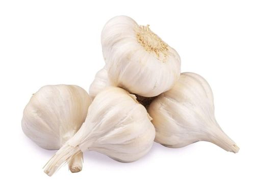 White Whole Fresh Garlic, For Cooking, Shelf Life : 15 Days