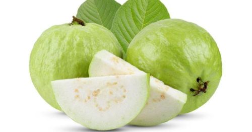 Organic Fresh Guava, Shelf Life : 10 Days