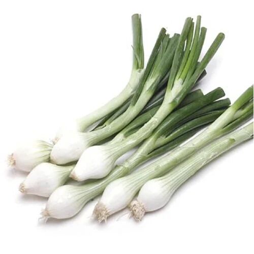 Fresh Spring Onion, Shelf Life : 7-10 Days