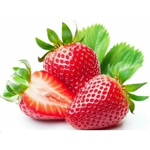 Organic Fresh Strawberry, Packaging Type : Plastic Bag