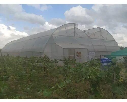 Plain Double Span Polyhouse, For Farming, Feature : Heat Resistance, High Strength, Quality Tested