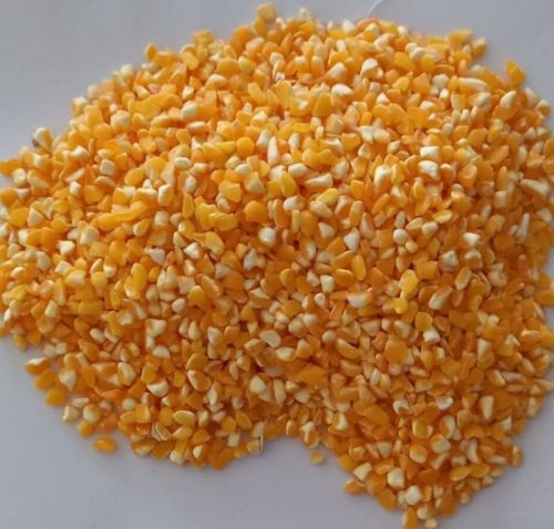 Organic Yellow Maize Seeds, Style : Dried