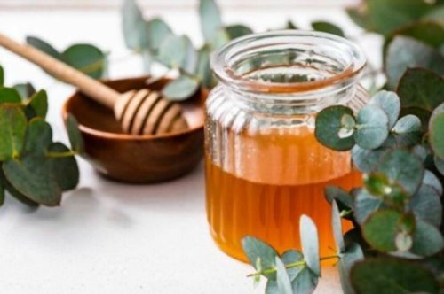 Eucalyptus Honey, For Clinical, Cosmetics, Foods, Medicines, Feature : Energizes The Body, Freshness