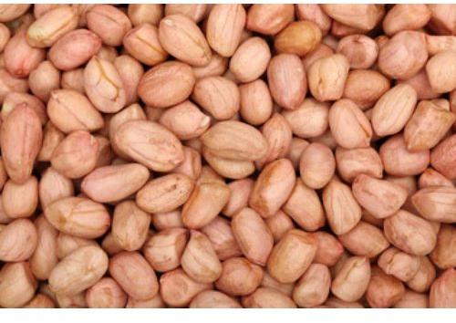 Best Quality Raw Peanuts For Sale, Packaging Type : Jute/PP/Vacuum Bags
