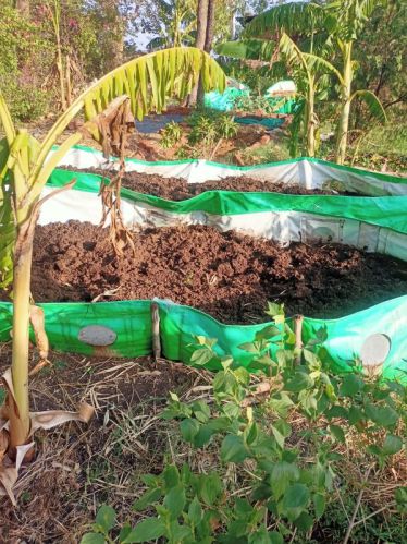 Organic Vermicompost Fertilizer for Agriculture