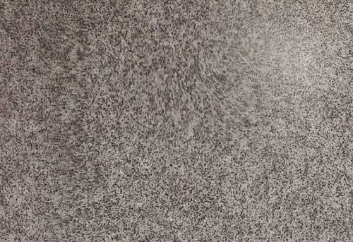 Polished Sira Grey Granite Slab, For Staircases, Kitchen Countertops, Flooring, Specialities : Fine Finishing