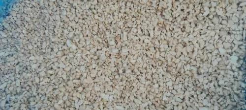 Raw Organic SP Broken Cashew Nuts, Packaging Size : 10 Kgs