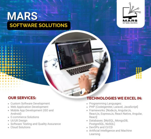 Software development service