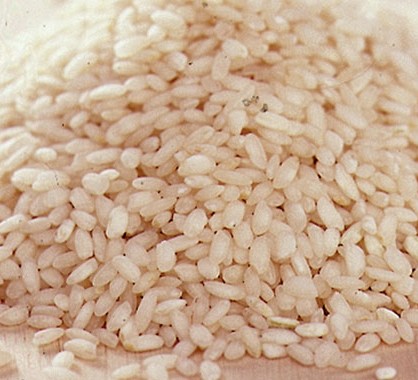 Hard Organic Arborio Rice, Style : Dried