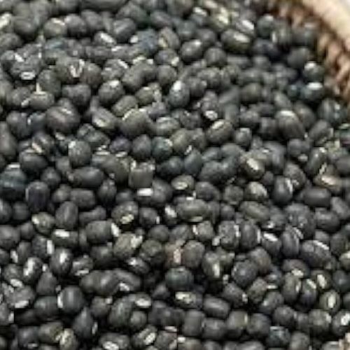 Organic Black Urad Dal, For Cooking, Style : Dried