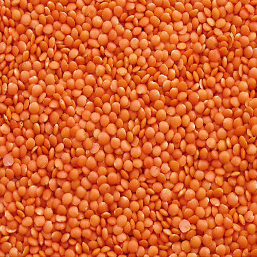 Organic Red Masoor Dal, For Cooking, Style : Dried