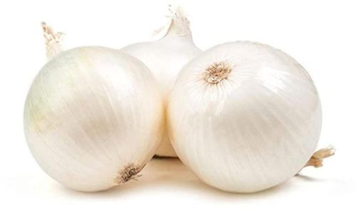 A Grade White Onion, Shelf Life : 15days
