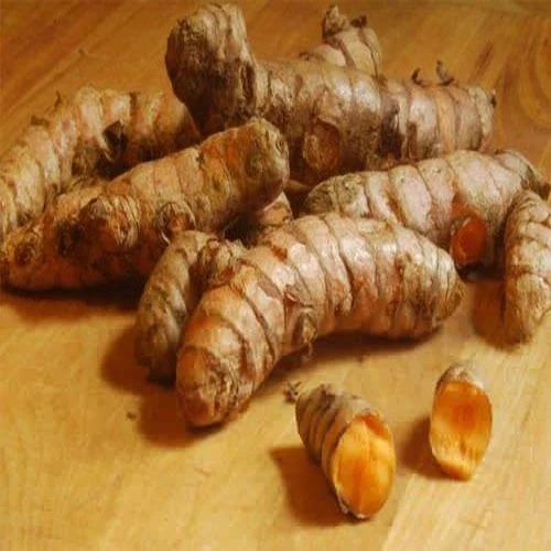 Yellow Whole Raw Turmeric Finger, For Cooking, Shelf Life : 10-15 Days