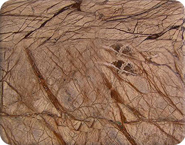 Rectangle Rain Forest Brown Marble Slab, For Flooring Use, Statue, Wall Use